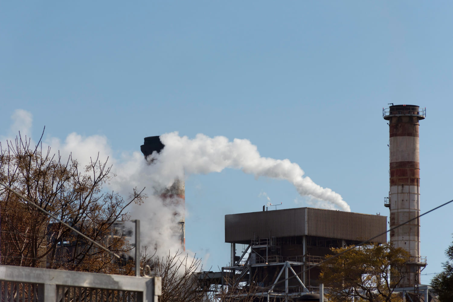 How Georgetown's Weather Affects Your Chimney's Health